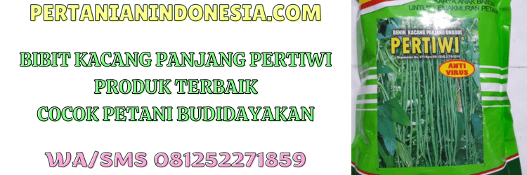 bibit,bibit kacang panjang,benih,benih pertiwi,pertanian indonesia